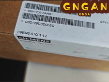 6RY1703-0AA01-L2