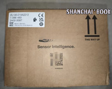 DL100-21AA2213 Module, PLC, LCD, Board, Controller