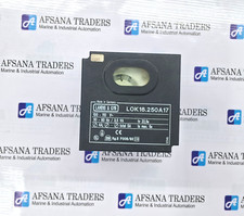 LOK16.250A17 Module, PLC, LCD, Board, Controller