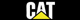 catepillar